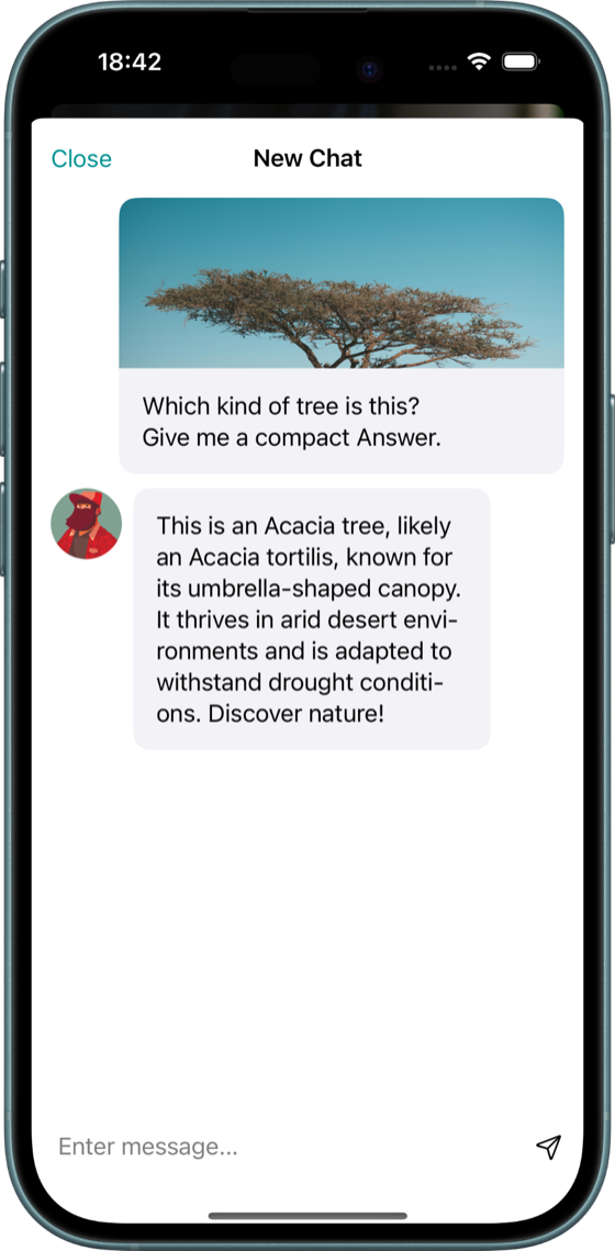 Wood Identifier chat mode identifying an Acacia tree